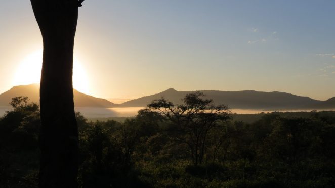 Amakhosi Safari Lodge & Spa