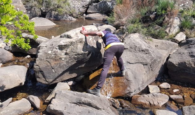 KZN
