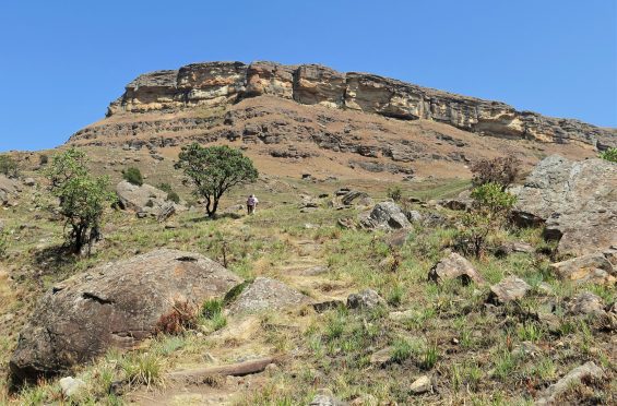 KZN