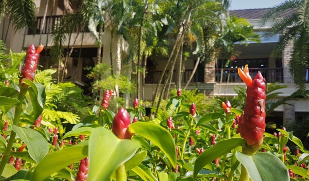 Robinson Club Khao Lak