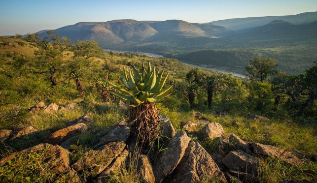 Babanango Game Reserve