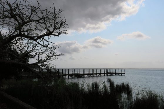 iiSimangaliso Wetland Park