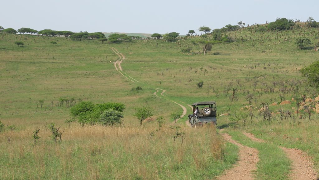 Babanango Game Reserve
