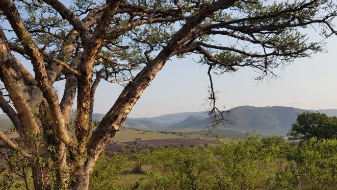 Babanango Game Reserve