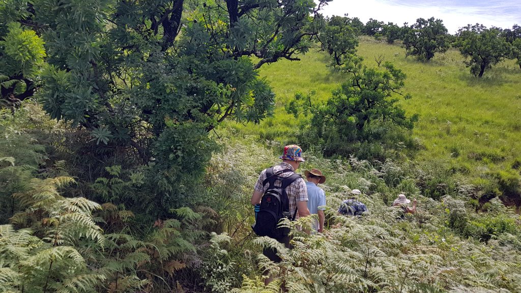 Hiking in the mountains at the Cavern