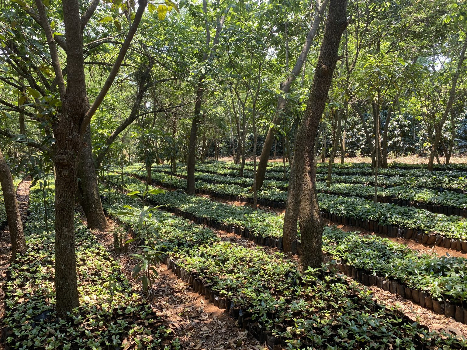 Gorongosa Restoration Project, Mozambique - RESPONSIBLE TRAVELLER