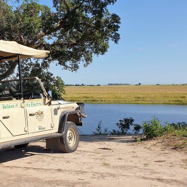Silent Safari Chobe