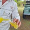 Bubbles at brunch - The Victorian Safari Company